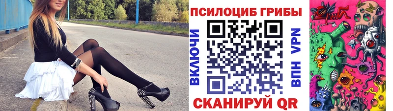 Купить где  Нурлат  Псилоцибиновые грибы ЛСД 