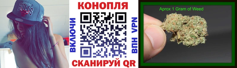 Канабис гибрид  Купить закладки  Нурлат 